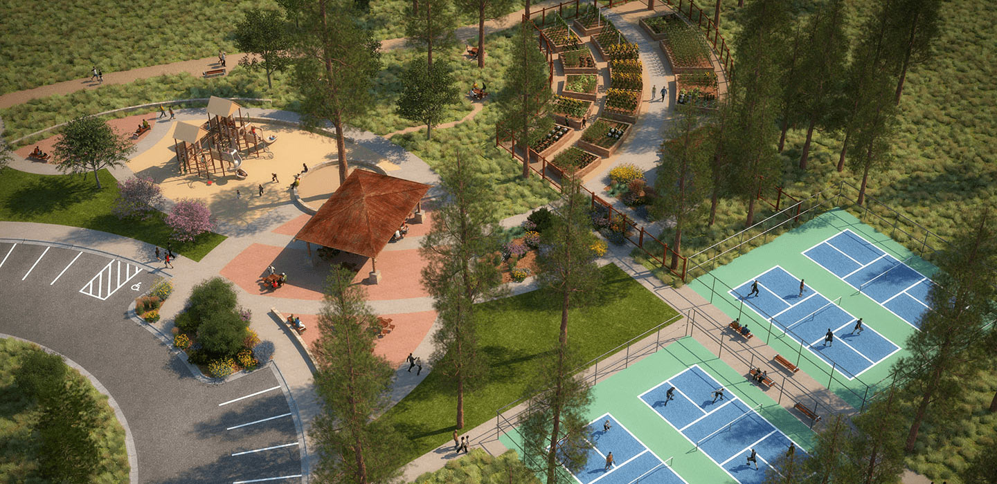 Timber Sky Community Documents